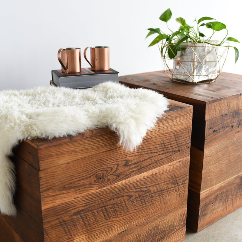 Storage Coffee Table Box – What WE Make